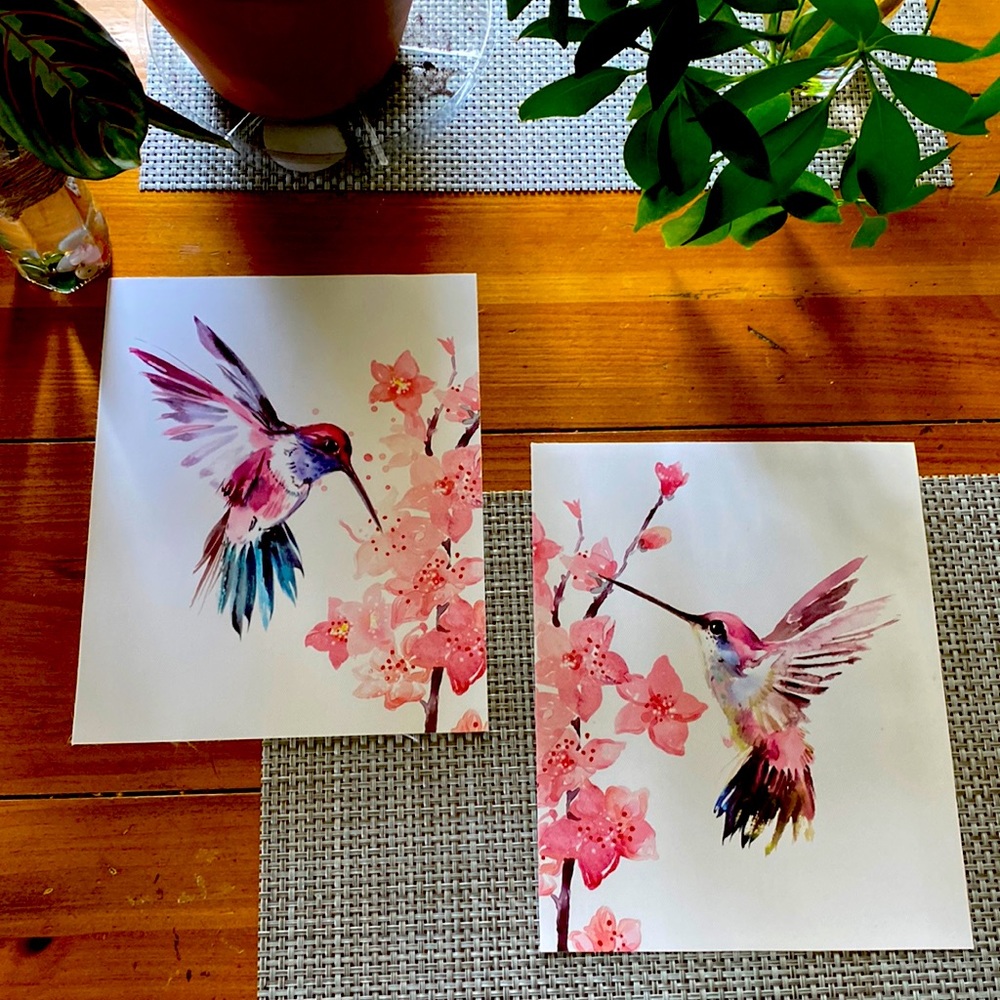 Hummingbird bird art
